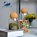 Boll Cork Glass Storage Jar