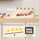 2 TIER EGG HOLDER DISPENSER